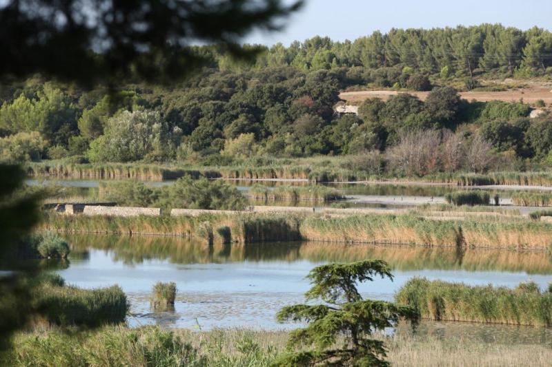 Bleu Lavande - Coquet Appartement Ambiance Village Istres Εξωτερικό φωτογραφία